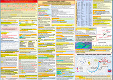 Listing image for Aviation Weather & Charts, Recommended Techniques, 2-Sided Poster, ALL IN ONE.