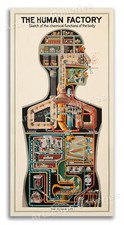 Listing image for 1931 The Human Factory - Vintage Industrial Anatomy Poster - 12x24